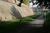 Img 085